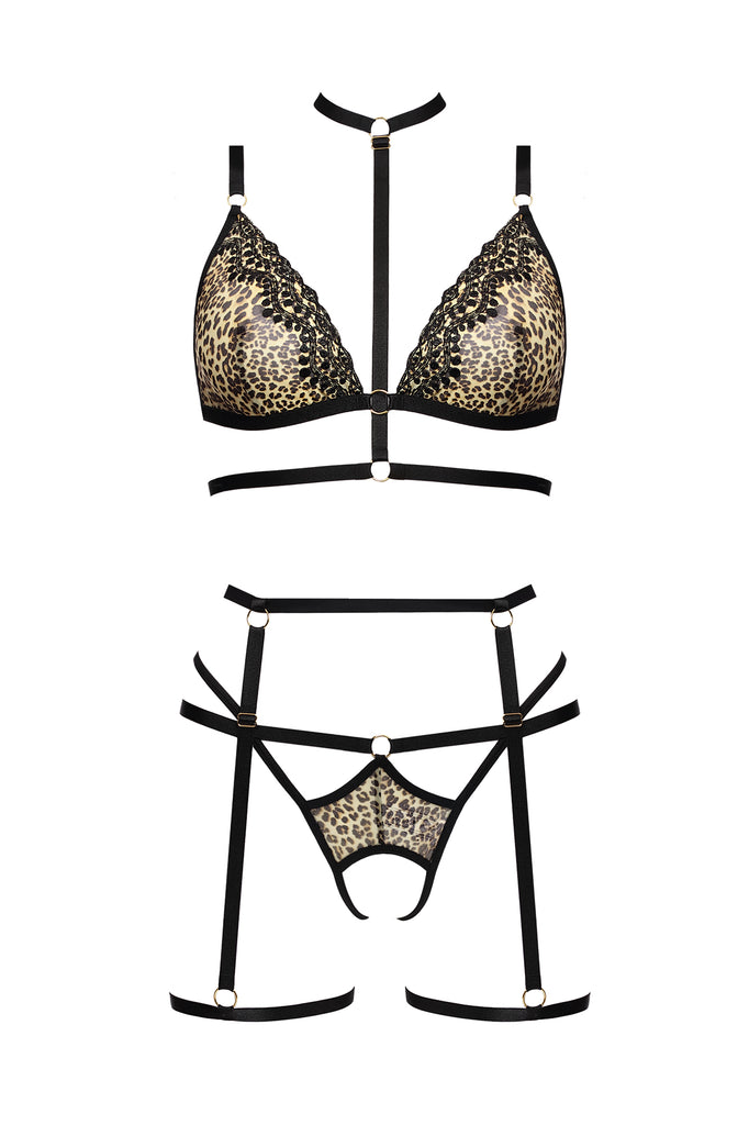 Bikini bra and thong set Cozmo by Anais